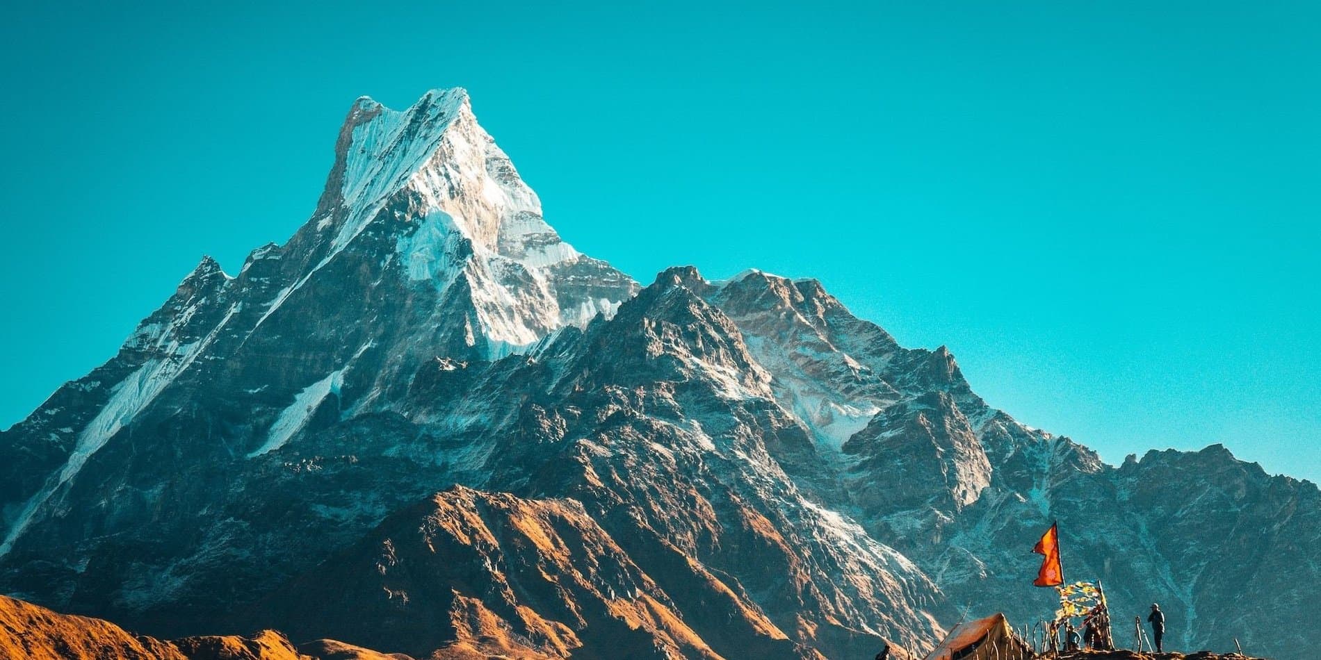 Environmental Consulting